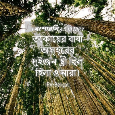 Picture 04 - 1 বংশাৱলি 4:5 BENIRV - তকোয়ের বাবা - Bible Verse Picture