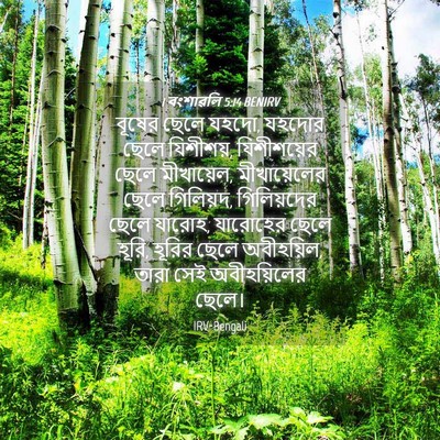 Picture 04 - 1 বংশাৱলি 5:14 BENIRV - বূষের ছেলে যহদো, - Bible Verse Picture
