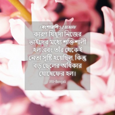 Picture 04 - 1 বংশাৱলি 5:2 BENIRV - কারণ যিহূদা নিজের - Bible Verse Picture