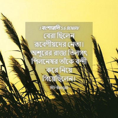 Picture 04 - 1 বংশাৱলি 5:6 BENIRV - বেরা ছিলেন - Bible Verse Picture