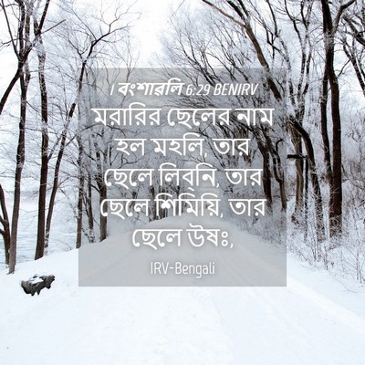Picture 04 - 1 বংশাৱলি 6:29 BENIRV - মরারির ছেলের নাম - Bible Verse Picture
