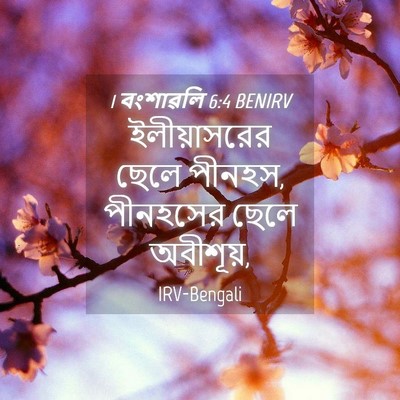 Picture 04 - 1 বংশাৱলি 6:4 BENIRV - ইলীয়াসরের ছেলে - Bible Verse Picture