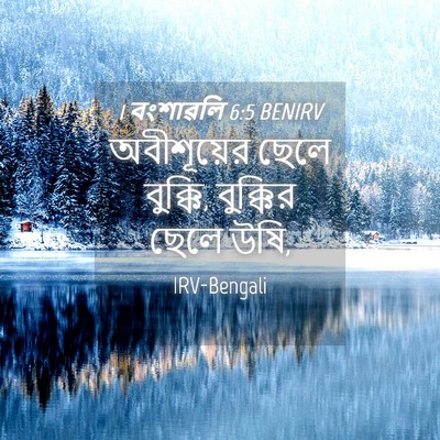 Picture 04 - 1 বংশাৱলি 6:5 BENIRV - অবীশূয়ের ছেলে - Bible Verse Picture