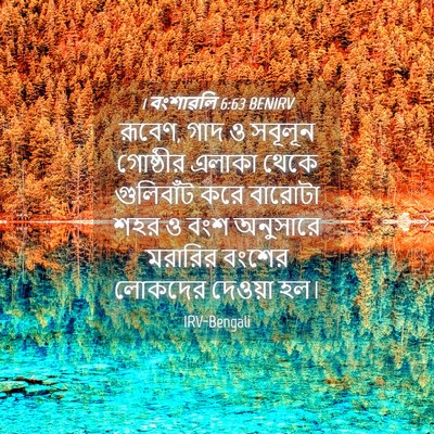Picture 04 - 1 বংশাৱলি 6:63 BENIRV - রূবেণ, গাদ ও সবূলূন - Bible Verse Picture