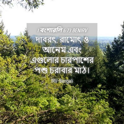 Picture 04 - 1 বংশাৱলি 6:73 BENIRV - দাবরৎ, রামোৎ ও আনেম - Bible Verse Picture