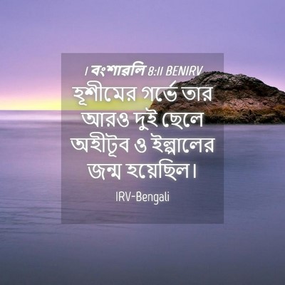Picture 04 - 1 বংশাৱলি 8:11 BENIRV - হূশীমের গর্ভে তার - Bible Verse Picture