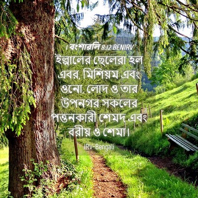 Picture 04 - 1 বংশাৱলি 8:12 BENIRV - ইল্পালের ছেলেরা - Bible Verse Picture