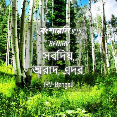 Picture 04 - 1 বংশাৱলি 8:15 BENIRV - সবদিয়, অরাদ, - Bible Verse Picture