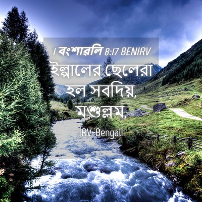Picture 04 - 1 বংশাৱলি 8:17 BENIRV - ইল্পালের ছেলেরা - Bible Verse Picture