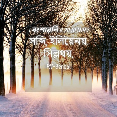 Picture 04 - 1 বংশাৱলি 8:20 BENIRV - সব্দি, ইলিয়ৈনয়, - Bible Verse Picture