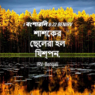 Picture 04 - 1 বংশাৱলি 8:22 BENIRV - শাশকের ছেলেরা হল - Bible Verse Picture