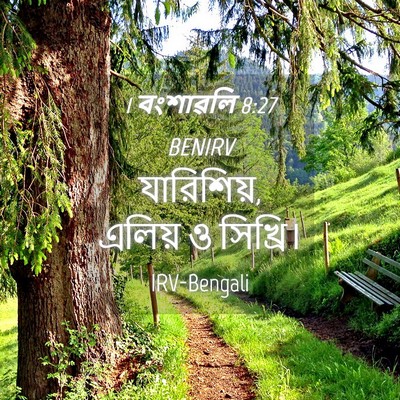 Picture 04 - 1 বংশাৱলি 8:27 BENIRV - যারিশিয়, এলিয় ও - Bible Verse Picture