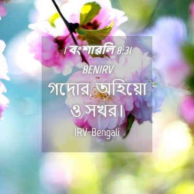 Picture 04 - 1 বংশাৱলি 8:31 BENIRV - গদোর, অহিয়ো ও - Bible Verse Picture