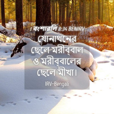 Picture 04 - 1 বংশাৱলি 8:34 BENIRV - যোনাথনের ছেলে - Bible Verse Picture