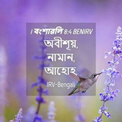 Picture 04 - 1 বংশাৱলি 8:4 BENIRV - অবীশূয়, নামান, - Bible Verse Picture