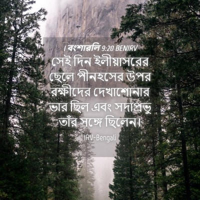 Picture 04 - 1 বংশাৱলি 9:20 BENIRV - সেই দিন - Bible Verse Picture