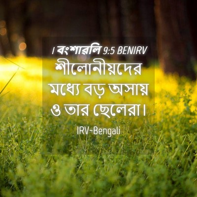 Picture 04 - 1 বংশাৱলি 9:5 BENIRV - শীলোনীয়দের মধ্যে - Bible Verse Picture