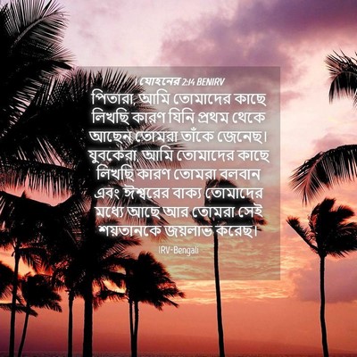 Picture 04 - 1 যোহনের 2:14 BENIRV - পিতারা, আমি - Bible Verse Picture