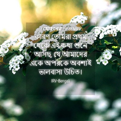 Picture 04 - 1 যোহনের 3:11 BENIRV - কারণ তোমরা প্রথম - Bible Verse Picture