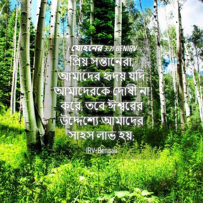 Picture 04 - 1 যোহনের 3:21 BENIRV - প্রিয় সন্তানেরা, - Bible Verse Picture
