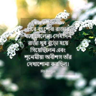 Picture 04 - 1 ৰাজাৱলী 1:15 BENIRV - পরে বৎশেবা রাজার - Bible Verse Picture