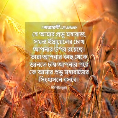 Picture 04 - 1 ৰাজাৱলী 1:20 BENIRV - হে আমার প্রভু - Bible Verse Picture