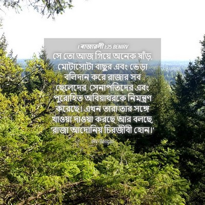 Picture 04 - 1 ৰাজাৱলী 1:25 BENIRV - সে তো আজ গিয়ে অনেক - Bible Verse Picture