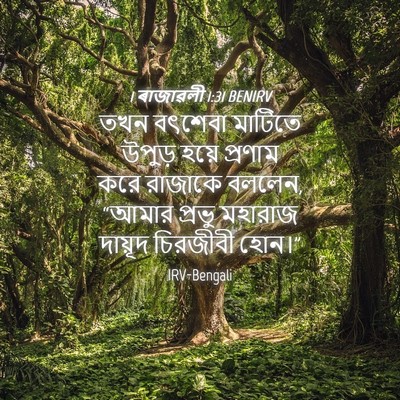 Picture 04 - 1 ৰাজাৱলী 1:31 BENIRV - তখন বৎশেবা মাটিতে - Bible Verse Picture