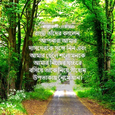 Picture 04 - 1 ৰাজাৱলী 1:33 BENIRV - রাজা তাঁদের বললেন, - Bible Verse Picture