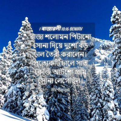 Picture 04 - 1 ৰাজাৱলী 10:16 BENIRV - রাজা শলোমন পিটানো - Bible Verse Picture