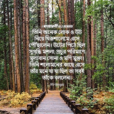 Picture 04 - 1 ৰাজাৱলী 10:2 BENIRV - তিনি অনেক লোক ও উট - Bible Verse Picture