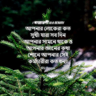 Picture 04 - 1 ৰাজাৱলী 10:8 BENIRV - আপনার লোকেরা কত - Bible Verse Picture