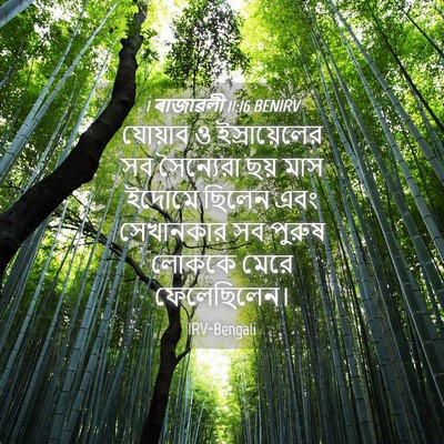 Picture 04 - 1 ৰাজাৱলী 11:16 BENIRV - যোয়াব ও - Bible Verse Picture