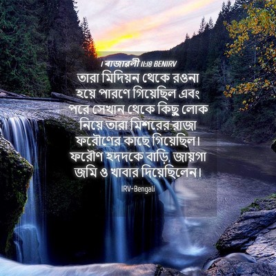 Picture 04 - 1 ৰাজাৱলী 11:18 BENIRV - তারা মিদিয়ন থেকে - Bible Verse Picture