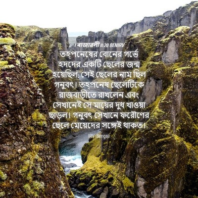 Picture 04 - 1 ৰাজাৱলী 11:20 BENIRV - তহ্‌পনেষের বোনের - Bible Verse Picture