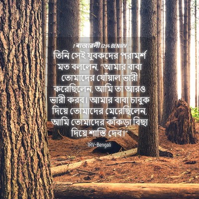 Picture 04 - 1 ৰাজাৱলী 12:14 BENIRV - তিনি সেই যুবকদের - Bible Verse Picture