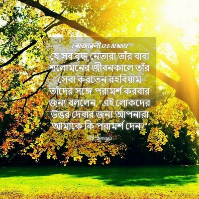 Picture 04 - 1 ৰাজাৱলী 12:6 BENIRV - যে সব বৃদ্ধ নেতারা - Bible Verse Picture