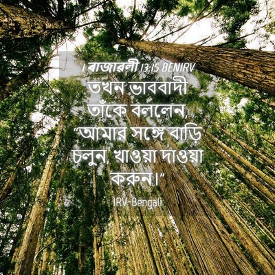 Picture 04 - 1 ৰাজাৱলী 13:15 BENIRV - তখন ভাববাদী তাঁকে - Bible Verse Picture