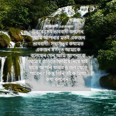 Picture 04 - 1 ৰাজাৱলী 13:18 BENIRV - উত্তরে সেই - Bible Verse Picture