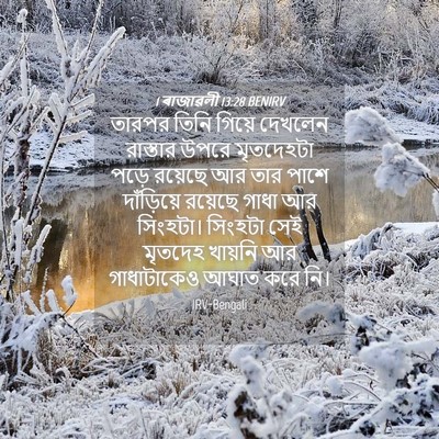 Picture 04 - 1 ৰাজাৱলী 13:28 BENIRV - তারপর তিনি গিয়ে - Bible Verse Picture
