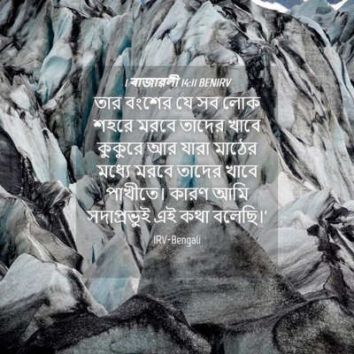 Picture 04 - 1 ৰাজাৱলী 14:11 BENIRV - তার বংশের যে সব লোক - Bible Verse Picture