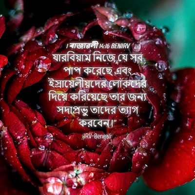 Picture 04 - 1 ৰাজাৱলী 14:16 BENIRV - যারবিয়াম নিজে যে - Bible Verse Picture
