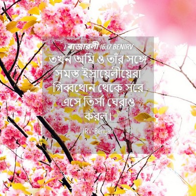 Picture 04 - 1 ৰাজাৱলী 16:17 BENIRV - তখন অম্রি ও তাঁর - Bible Verse Picture