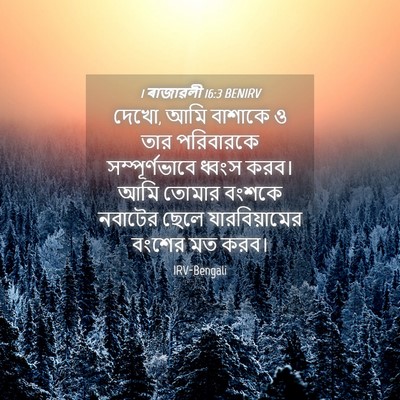 Picture 04 - 1 ৰাজাৱলী 16:3 BENIRV - দেখো, আমি বাশাকে ও - Bible Verse Picture