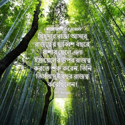 Picture 04 - 1 ৰাজাৱলী 16:8 BENIRV - যিহূদার রাজা আসার - Bible Verse Picture