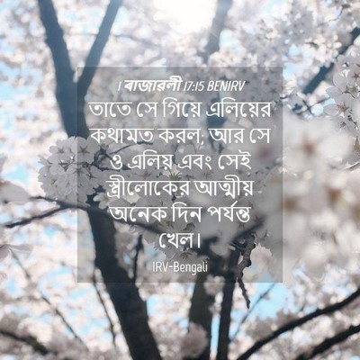 Picture 04 - 1 ৰাজাৱলী 17:15 BENIRV - তাতে সে গিয়ে - Bible Verse Picture