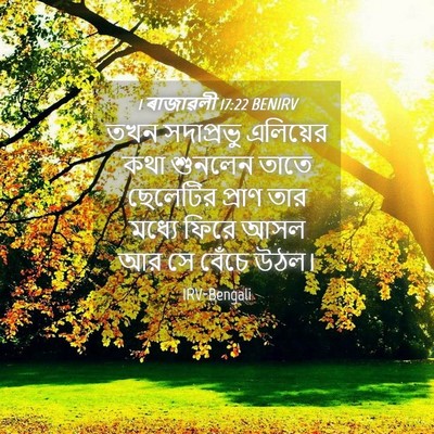 Picture 04 - 1 ৰাজাৱলী 17:22 BENIRV - তখন সদাপ্রভু - Bible Verse Picture