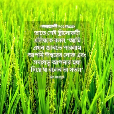 Picture 04 - 1 ৰাজাৱলী 17:24 BENIRV - তাতে সেই - Bible Verse Picture