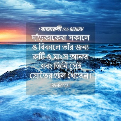 Picture 04 - 1 ৰাজাৱলী 17:6 BENIRV - দাঁড়কাকেরা সকালে - Bible Verse Picture