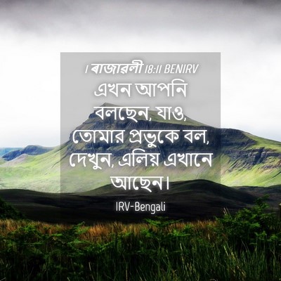 Picture 04 - 1 ৰাজাৱলী 18:11 BENIRV - এখন আপনি বলছেন, - Bible Verse Picture